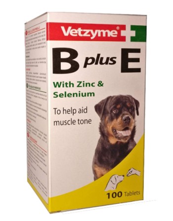 Vetzyme B Plus E Vitamin N100
