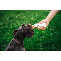 BluePet GoFuel energiabatoon kõrvitsaga  50g