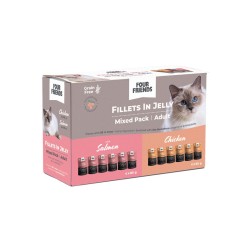 FOURFRIENDS KASSIENE KANA GEELIS X 6 & LÕHE KASTMES X 6 TÄISKASVANUD KASSIDELE