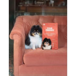 FOURFRIENDS SMALL BREED SALMON 2kg