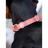DUCIER COLLAR TERRACOTA SIZE L