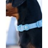 DUCIER COLLAR SOFT BLUE SIZE S