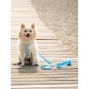 DUKIER WATERPROOF LEASH SKY BLUE SIZE S