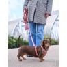 DUKIER LEASH TERRACOTA SIZE L
