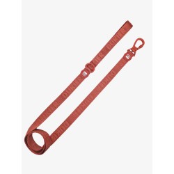 DUKIER LEASH TERRACOTA SIZE L