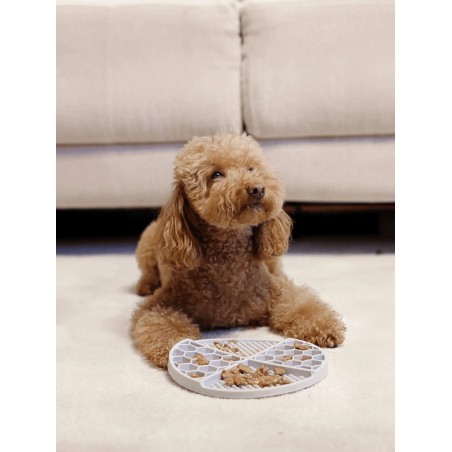 DUKIER LICKING MAT GREY