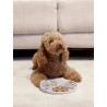 DUKIER LICKING MAT GREY