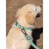 DUCIER WATERPROOF COLLAR JADE MINT SIZE M