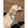DUCIER WATERPROOF COLLAR JADE MINT SIZE M