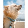 Kopio tuotteesta DUCIER WATERPROOF COLLAR JADE MINT SIZE M