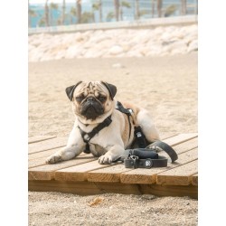 DUKIER WATERPROOF LEASH BLACK SIZE S