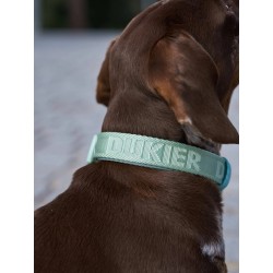 DUKIER COLLAR SOFT GREEN SIZE L