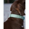 DUKIER COLLAR SOFT GREEN SIZE L