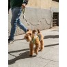 DUKIER LEASH KALEIDO LIME SWIRL SIZE S