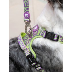 DUKIER LEASH KALEIDO LIME SWIRL SIZE S
