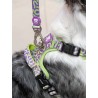 DUKIER LEASH KALEIDO LIME SWIRL SIZE S