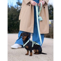 DUKIER LEASH SOFT GREEN SIZE L