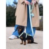 DUKIER LEASH SOFT GREEN SIZE L