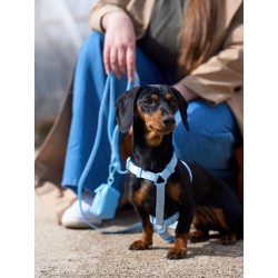 DUKIER LEASH SOFT BLUE SIZE S